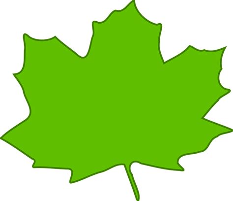 Download Maple, Leaf, Green. Royalty-Free Vector Graphic - Pixabay