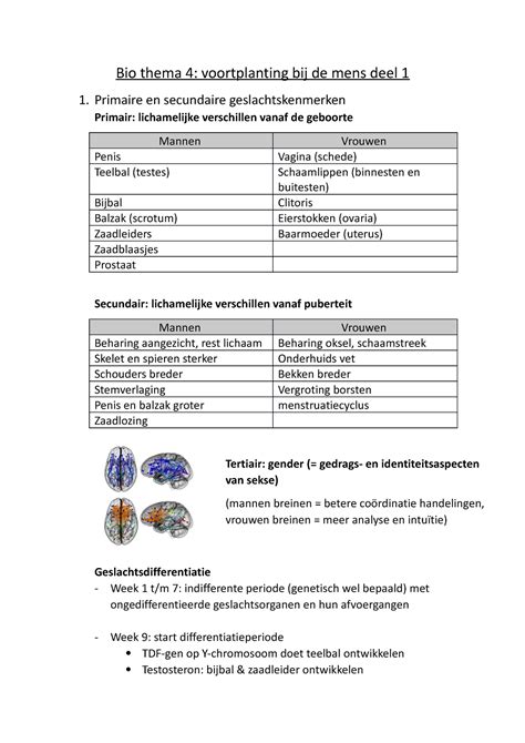 Bio Thema Samenvatting Bio Thema Voortplanting Bij De Mens