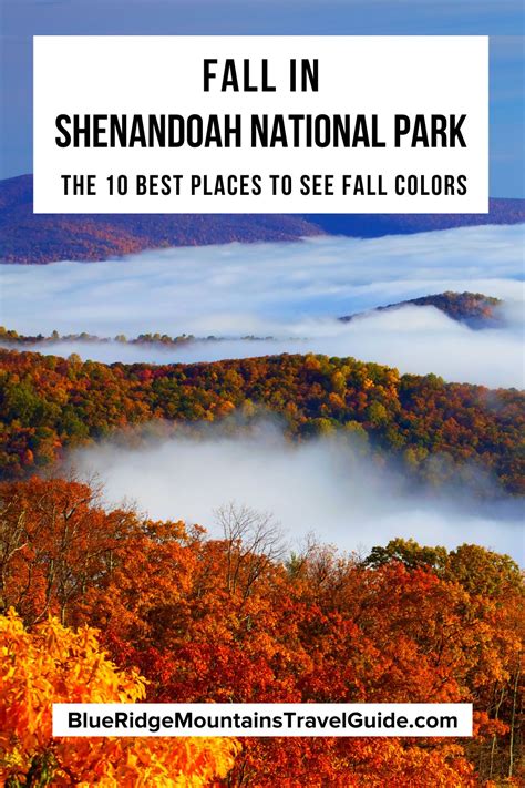 Fall in Shenandoah National Park: 10 Places to See Fall Foliage