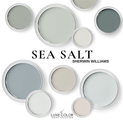 Sherwin Williams Sea Salt And Coordinating Colors Sea Salt Palette For