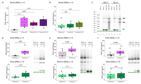 Test Of An Improved Dna And Rna Purification Protocolimportance Of