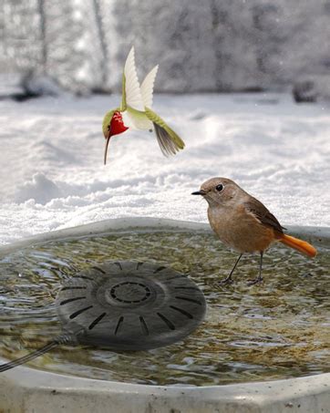 Amazon Uresmat Bird Bath Heater With Ft Birdbath Deicer With