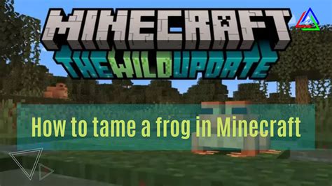 Minecraft How To Tame A Frog Wild Update Gamesual