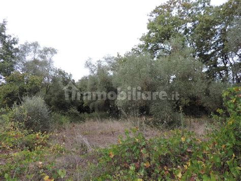 Terreno Agricolo Via Grottaglie Fara In Sabina Rif