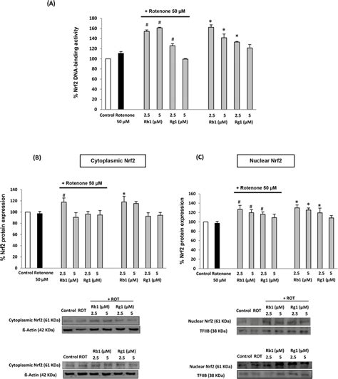 Involvement Of Nrf Signaling Pathway In The Cytoprotective Actions Of