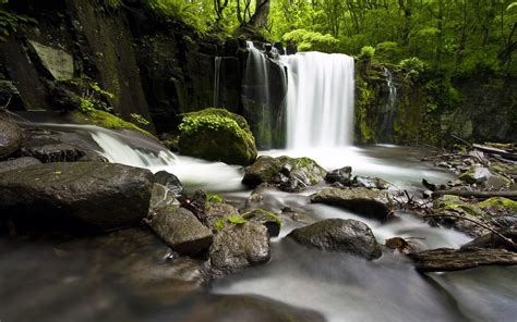 Wallpaper Alam Pemandangan Batuan Air Terjun Lumut Pohon Hutan