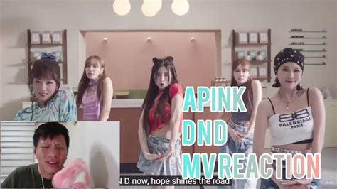 MV Reaction Apink 에이핑크 D N D YouTube