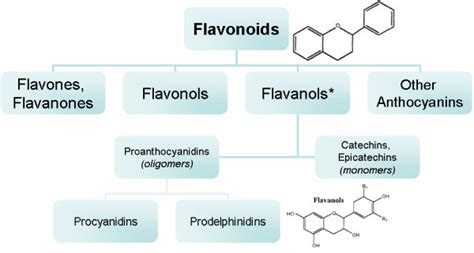 Structural Skeleton Of Flavonoids And Classification Hierarchy Of