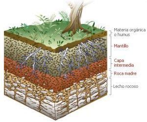 Estructura Del Suelo