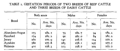 Dairy Cattle Animal Management