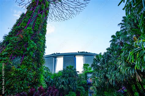 Marina Bay Sands from the gardens Stock Photo | Adobe Stock