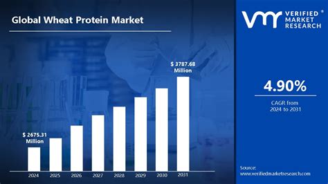 Wheat Protein Market Size Share Scope Growth Forecast