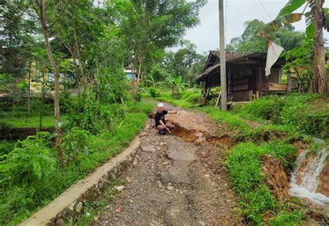 Akibat Hujan Deras Jalan Menuju Smkn Sobang Dan Smpn Sobang Amblas