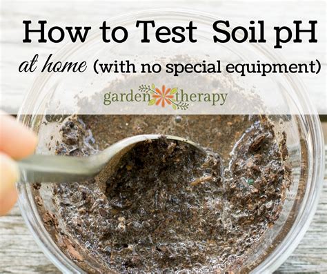 How To Ph Soil Test At Home Easy No Special Equipment Needed