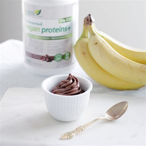 Vegan Chocolate Banana High Protein Ice Cream Fraiche Nutrition