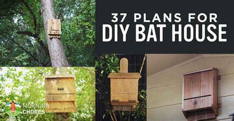 Printable Bat Box Plans