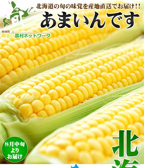 【楽天市場】【予約】 北海道産 南幌町 とうもろこし あまいんです 黄色冷蔵便 南幌町明るい農村ネットワーク 朝採り トウモロコシ