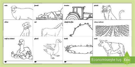 Viața la țară Desene de colorat professor feito