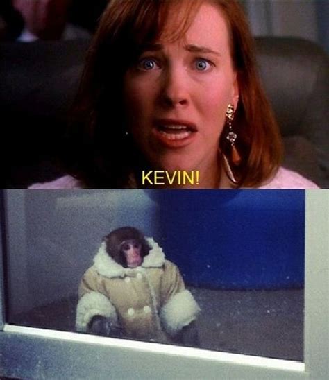 Ikea Monkey Meme Continues - Barnorama