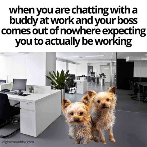 55 Funniest Coworker Memes To Share With Your Office Bestie