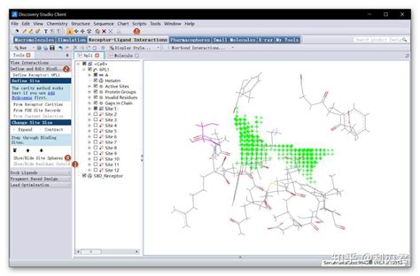 分子模拟软件discovery Studio教程二：精准的分子对接技术 知乎