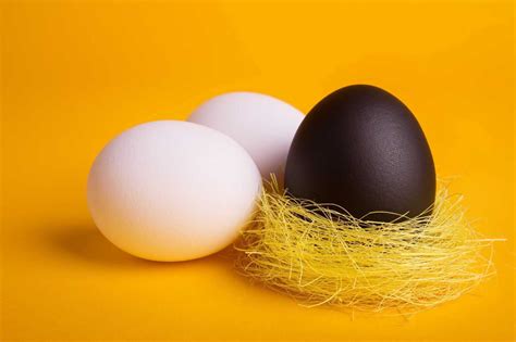 Black Chicken Eggs What Chicken Breeds Produce Them