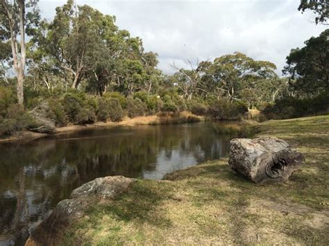 Stanthorpe Tourism Best Of Stanthorpe Australia Tripadvisor