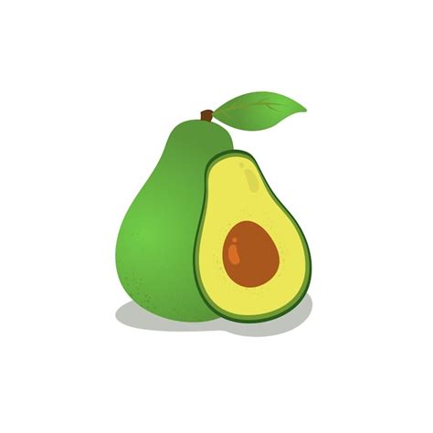 Premium Vector Avocado Fruit With Leaf Vector