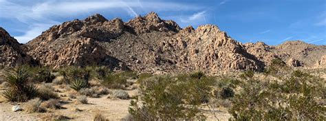 Joshua Tree Hiking Trails