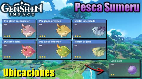 Puntos De Pesca Sumeru Genshin Impact YouTube