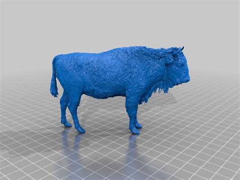 Бесплатный 3D файл Европейский зубр / Wisent от Музея естественной ...