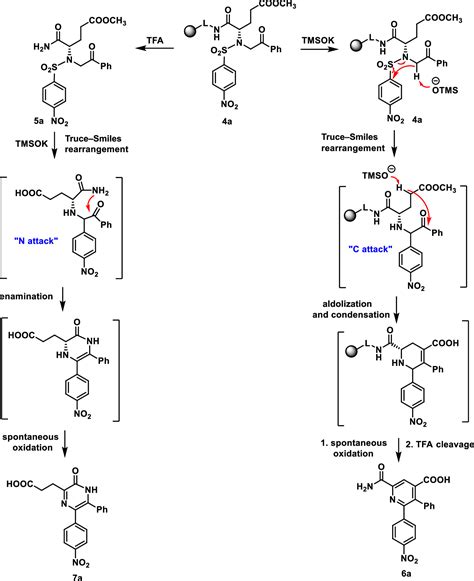 Synthesis Of Polysubstituted Pyridines And Pyrazines Via Trucesmiles