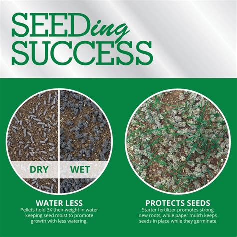 Greenview Seeding Success 38 Lb 760 Sq Ft 1 2 0 5 Lawn Starter Fertilizer In The Lawn Fertilizer