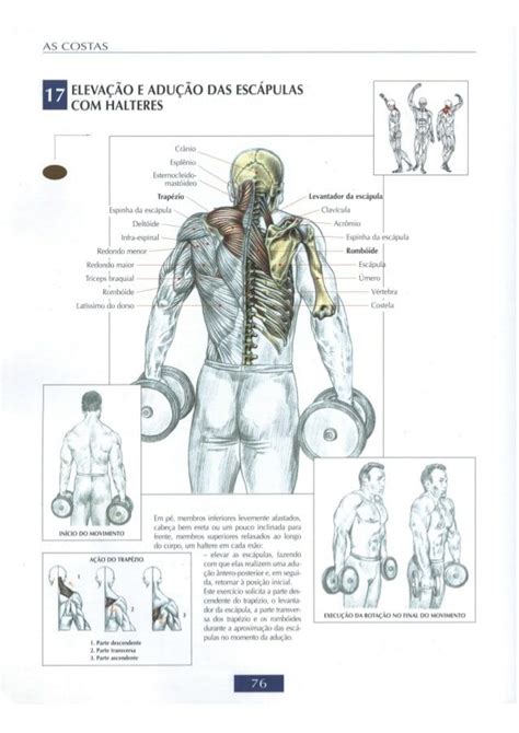 Guia dos movimentos de musculação abordagem anatômica português il