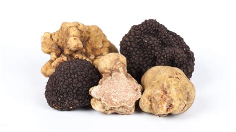 The Difference Between White And Black Truffles