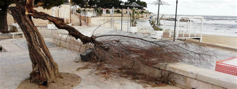 Trani Fa La Conta Dei Danni Dopo La Burrasca E In Acqua Spunta Una