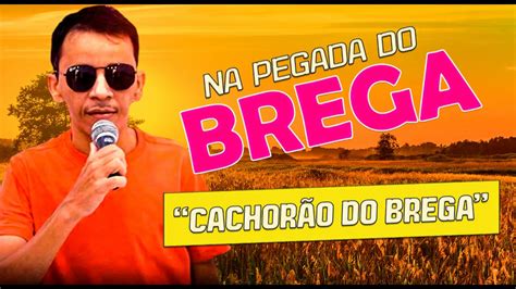 Cachorr O Do Brega Ao Vivo Em Jucuri Cd Novo Outubro Youtube