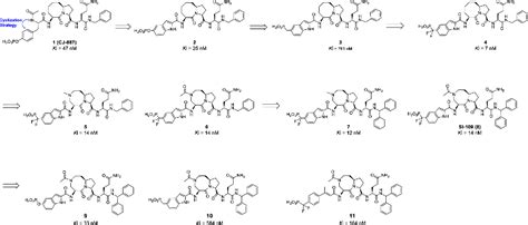 Figure 2 From Structure Based Discovery Of SD 36 As A Potent Selective