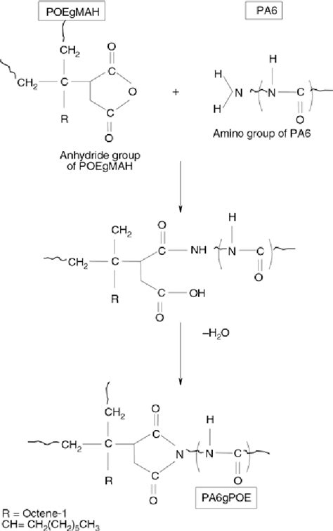 Pdf Ethylene Octene Copolymer Poe Toughened Polyamide