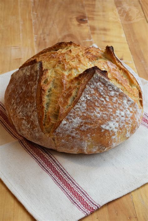 Recept Za Doma I Hleb Koji Se Ne Mesi Iliti No Knead Bread Recepti