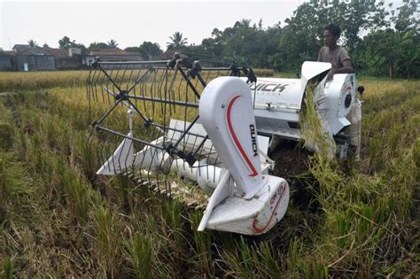 Mesin Panen Padi Mudahkan Petani Percepat Proses Panen Republika Online