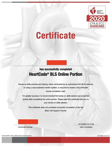 Aha Bls Acls Pals Skills Testing In Northern California