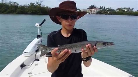 Baby Barracuda! - YouTube