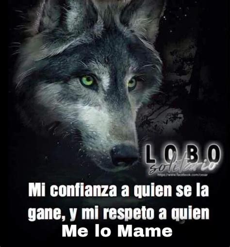 Lobo Meme Subido Por Elpergaminos Memedroid