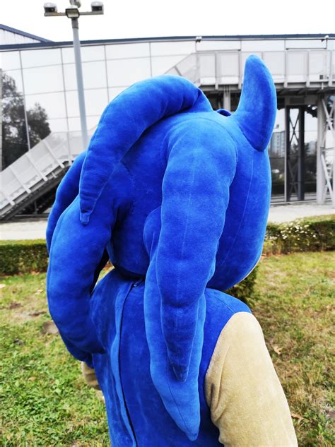 Sonic Mascot Costume, Sonic the Hedgehog, Party Mascot Costume, Event ...