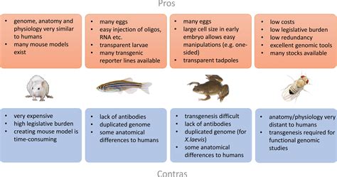 Model Organisms For Functional Validation In Genetic Renal Disease