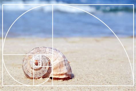 Golden Ratio: Math or Art? | The Edge