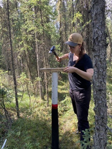 A Day In The Field At The Wetland Centre With DUC Staff Boreal