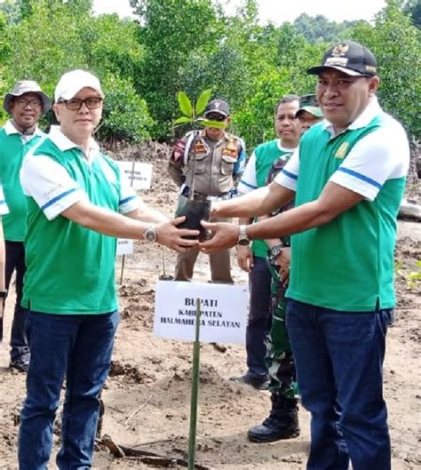 Harita Nickel Dan Unkhair Dukung Upaya Rehabilitasi Hutan Mangrove Di