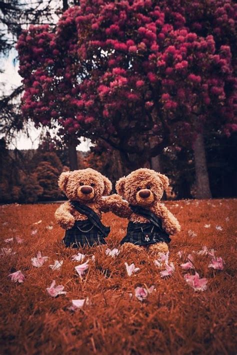 Pin By Ruangyuth On Teddy Bear Cartoon Wallpaper Hd Cute Teddy Bears